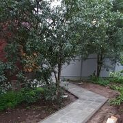 ,   , 39 ,   ,   