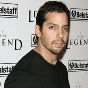  ,   , 33 ,   ,   , 