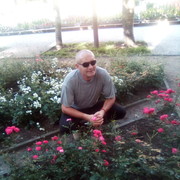 Praha,   Vasil, 43 ,     , c , 
