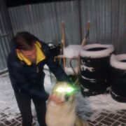  ,   , 47 ,   ,   