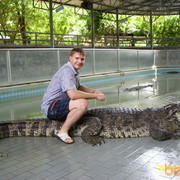 ���������� ���������, ���� ������� DANDY, 40 ���, ������������ ��� ������, ���������