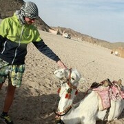 ���������� ������, ���� ������� ������, 35 ���, ������������ ��� ������, ����� � ���������, c�������� ���������