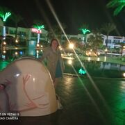 -,   , 42 ,   ,   