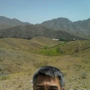   ,   Said, 43 ,   