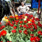  ,   , 63 ,   ,   , c 