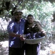 ���������� �������, ���� ������� K���, 42 ����, ������������ ��� ����� � ���������, c�������� ���������, ���������