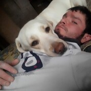 ���������� �����, ���� ������� ���������, 33 ����, ������������ ��� ������, ����� � ���������, c�������� ���������