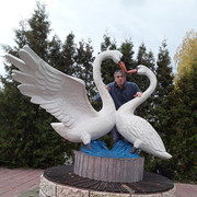  ,   , 42 ,     , c 
