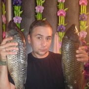  ,   , 29 ,   ,   
