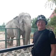 ���������� �����-���������, ���� ������� �������, 32 ����, ������������ ��� ������, ����� � ���������, c�������� ���������