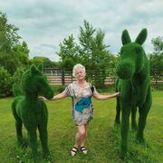 ���������� �������������, ���� ������� �����, 55 ���, ������������ ��� ������, ����� � ���������