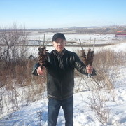 ���������� ����-�����������, ���� ������� ���������, 43 ����, ������������ ��� ������, ����� � ���������, c�������� ���������