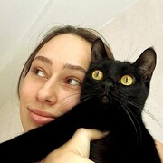 ���������� �������, �����