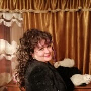 ���������� ����, ���� ������� ������, 53 ����, ������������ ��� ����� � ���������, c�������� ���������