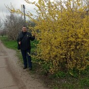  ,   , 39 ,     , c 