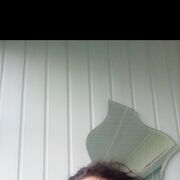 ���������� �����, ���� ������� ��������, 41 ���, ������������ ��� ����� � ���������, c�������� ���������