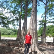  ,   Andrey, 50 ,   ,   , c 