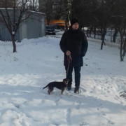  ,   , 37 ,   