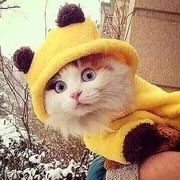 ���������� ��������, ���� ������� ����, 47 ���, ������������ 