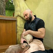 ���������� ������, ���� ������� �������, 43 ����, ������������ ��� ������, ����� � ���������