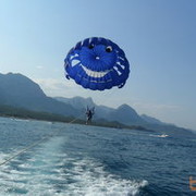 ���������� �������, ���� ������� ������, 42 ����, ������������ ��� ������