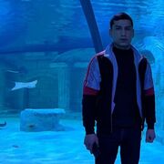  ,   Paxanov, 31 ,   ,   