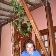 ���������� �����, ���� ������� �����, 51 ���, ������������ ��� ������, ����� � ���������, c�������� ���������