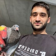  ,   , 29 ,   ,   
