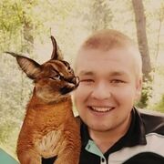 ���������� ���������, ���� ����� Arsen, 24 ����, ������������ ��� ������, ����� � ���������, c�������� ���������, ���������