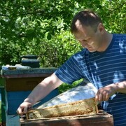 ���������� �������, ���� ������� ����, 40 ���, ������������ ��� ������, ���������