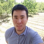 ���������� ������, ���� ������� �������, 31 ���, ������������ ��� ������, ����� � ���������, c�������� ���������