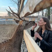 ���������� Abenberg, ���� ������� ����, 31 ���, ������������ ��� ������, ����� � ���������