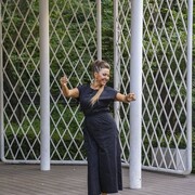 ���������� ������, ���� ������� ����, 38 ���, ������������ ��� ����� � ���������, c�������� ���������