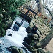  Tczew,   , 33 ,   ,   , c , 