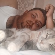 ���������� ���������, ���� ������� ������, 36 ���, ������������ ��� ������, ����� � ���������, c�������� ���������