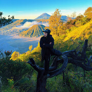 ���������� ������, ���� ������� Wang, 28 ���, ������������ ��� ������, ����� � ���������