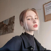 ���������� �����-���������, �����