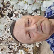  ,   , 51 ,   c , 