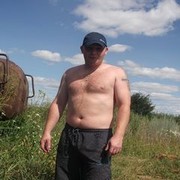  -,    , 41 ,   