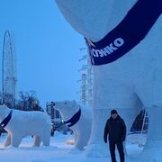 ���������� ������, ���� ������� ������, 56 ���, ������������ ��� ������, ����� � ���������, c�������� ���������, ���������