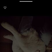 ���������� �����, ���� ������� E���, 29 ���, ������������ ��� ������, ����� � ���������, ���������