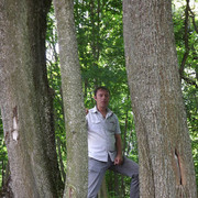  ,   , 43 ,     , c 