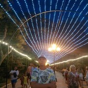 ���������� ������, ���� ������� ���������, 31 ���, ������������ ��� ������, ����� � ���������, c�������� ���������, ���������