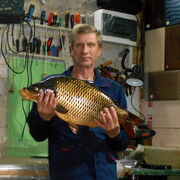  ,   , 58 ,   c , 
