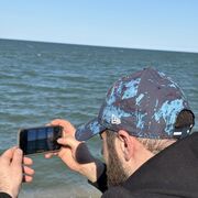 ���������� ���������, ���� ������� �����, 30 ���, ������������ ��� ����� � ���������, c�������� ���������, ���������