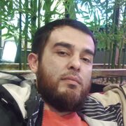 ���������� ������, ���� ������� SherKhan, 36 ���, ������������ ��� ������, ����� � ���������