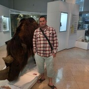 ���������� ���������, ���� ������� ���������, 37 ���, ������������ ��� ������, ����� � ���������