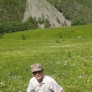  ,   , 65 ,  