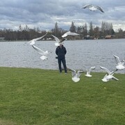 Homberg,   Zhivar, 50 ,   ,   