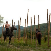 ���������� ���������, ���� ������� ������, 39 ���, ������������ ��� ������, ����� � ���������, c�������� ���������